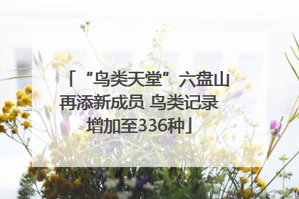 “鸟类天堂”六盘山再添新成员 鸟类记录增加至336种