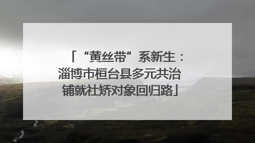 “黄丝带”系新生：淄博市桓台县多元共治铺就社矫对象回归路