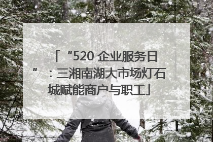 “520 企业服务日”：三湘南湖大市场灯石城赋能商户与职工