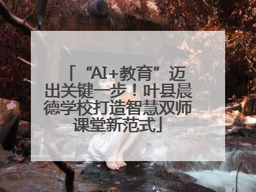 “AI+教育”迈出关键一步！叶县晨德学校打造智慧双师课堂新范式