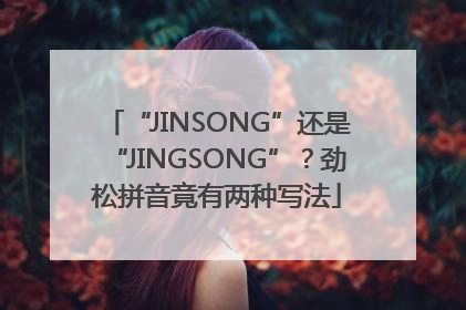“JINSONG”还是“JINGSONG”？劲松拼音竟有两种写法