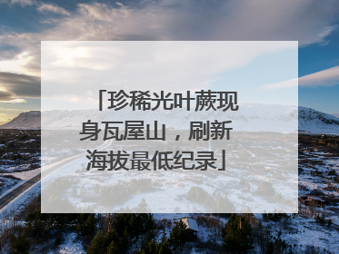 珍稀光叶蕨现身瓦屋山，刷新海拔最低纪录