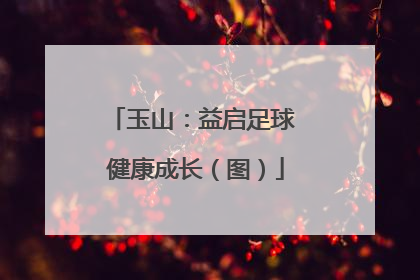 玉山：益启足球 健康成长（图）