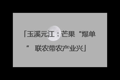 玉溪元江：芒果“爆单” 联农带农产业兴