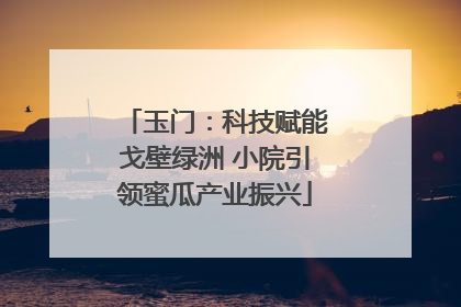 玉门：科技赋能戈壁绿洲 小院引领蜜瓜产业振兴