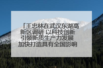 王忠林在武汉东湖高新区调研 以科技创新引领新质生产力发展 加快打造具有全国影响力的科技创新高地