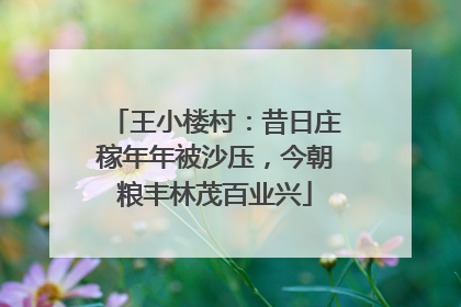 王小楼村：昔日庄稼年年被沙压，今朝粮丰林茂百业兴
