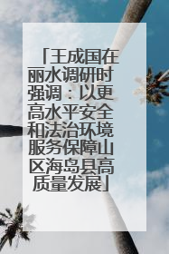 王成国在丽水调研时强调：以更高水平安全和法治环境服务保障山区海岛县高质量发展