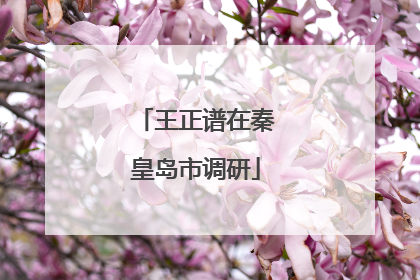 王正谱在秦皇岛市调研