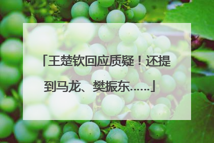 王楚钦回应质疑！还提到马龙、樊振东……