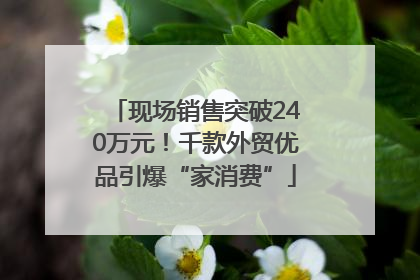 现场销售突破240万元！千款外贸优品引爆“家消费”