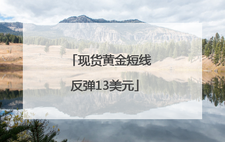 现货黄金短线反弹13美元