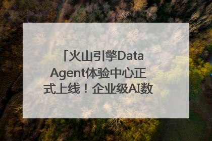 火山引擎Data Agent体验中心正式上线！企业级AI数据专家触手可及