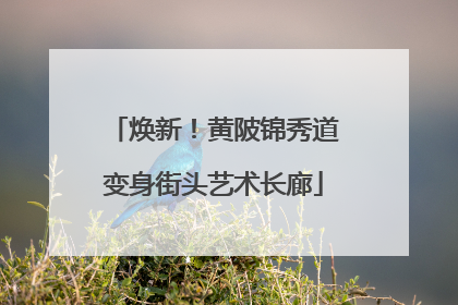 焕新！黄陂锦秀道变身街头艺术长廊