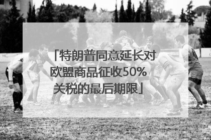 特朗普同意延长对欧盟商品征收50%关税的最后期限
