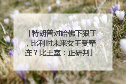 特朗普对哈佛下狠手，比利时未来女王受牵连？比王室：正研判