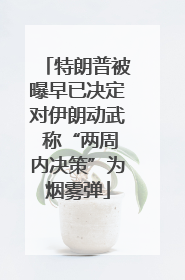 特朗普被曝早已决定对伊朗动武 称“两周内决策”为烟雾弹