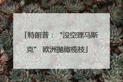 特朗普：“没空理马斯克” 欧洲抛橄榄枝