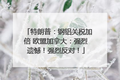 特朗普：钢铝关税加倍 欧盟加拿大：强烈遗憾！强烈反对！