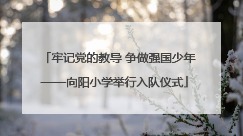 牢记党的教导 争做强国少年——向阳小学举行入队仪式
