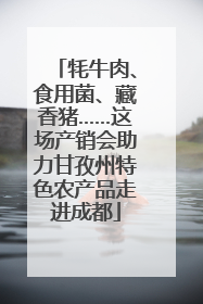 牦牛肉、食用菌、藏香猪……这场产销会助力甘孜州特色农产品走进成都