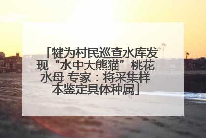 犍为村民巡查水库发现“水中大熊猫”桃花水母 专家：将采集样本鉴定具体种属