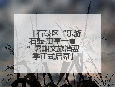 石鼓区“乐游石鼓·惠享一夏”暑期文旅消费季正式启幕