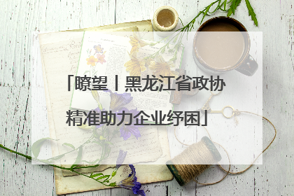 瞭望丨黑龙江省政协精准助力企业纾困