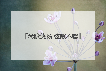 琴脉悠扬 弦歌不辍