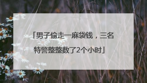 男子偷走一麻袋钱，三名特警整整数了2个小时