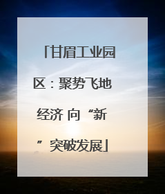 甘眉工业园区：聚势飞地经济 向“新”突破发展