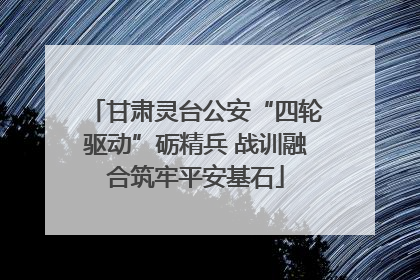 甘肃灵台公安“四轮驱动”砺精兵 战训融合筑牢平安基石