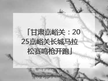 甘肃嘉峪关：2025嘉峪关长城马拉松赛鸣枪开跑