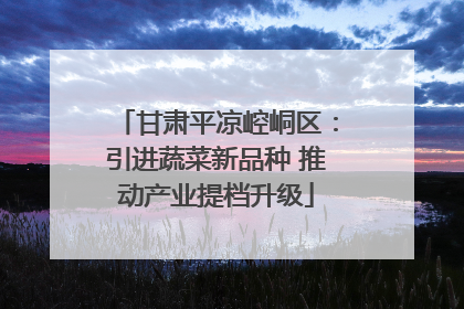 甘肃平凉崆峒区：引进蔬菜新品种 推动产业提档升级