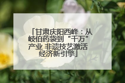 甘肃庆阳西峰：从岐伯药袋到“千万”产业 非遗技艺激活经济新引擎