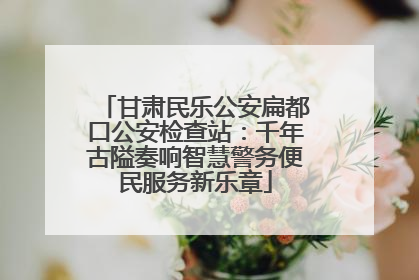 甘肃民乐公安扁都口公安检查站：千年古隘奏响智慧警务便民服务新乐章