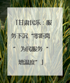 甘肃民乐：服务下沉“零距离” 为民服务“增温度”