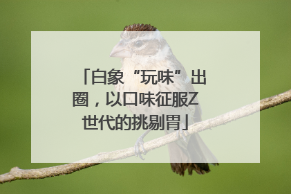 白象“玩味”出圈，以口味征服Z世代的挑剔胃