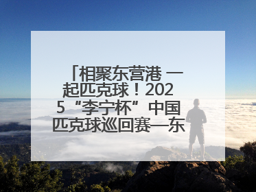 相聚东营港 一起匹克球！2025“李宁杯”中国匹克球巡回赛—东营站（CPC—1000）暨“好运山东”黄河口匹克球公开赛落幕