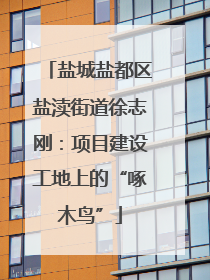 盐城盐都区盐渎街道徐志刚：项目建设工地上的“啄木鸟”