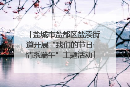 盐城市盐都区盐渎街道开展“我们的节日·情系端午”主题活动