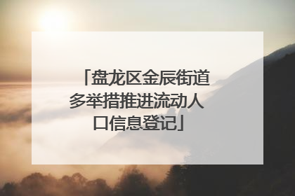 盘龙区金辰街道多举措推进流动人口信息登记