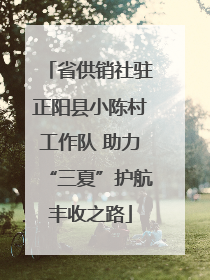 省供销社驻正阳县小陈村工作队 助力“三夏”护航丰收之路