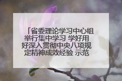 省委理论学习中心组举行集中学习 学好用好深入贯彻中央八项规定精神成效经验 示范带头持续推动全省学习教育走深走实