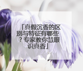 真假沉香的区别与特征有哪些？专家教你慧眼识真香