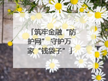 筑牢金融“防护网” 守护万家“钱袋子”