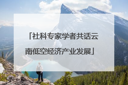 社科专家学者共话云南低空经济产业发展