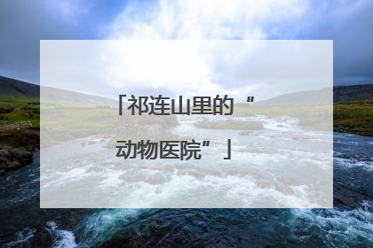 祁连山里的“动物医院”