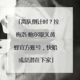 离队倒计时？拉梅洛·鲍尔取关黄蜂官方账号，快船或是潜在下家