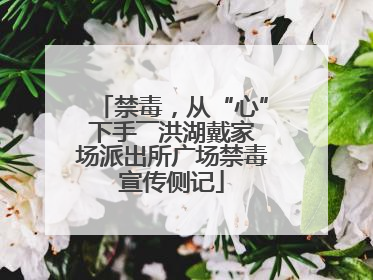 禁毒，从“心”下手――洪湖戴家场派出所广场禁毒宣传侧记